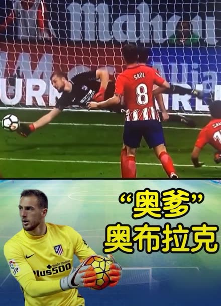 以灵活的网 以灵活的网