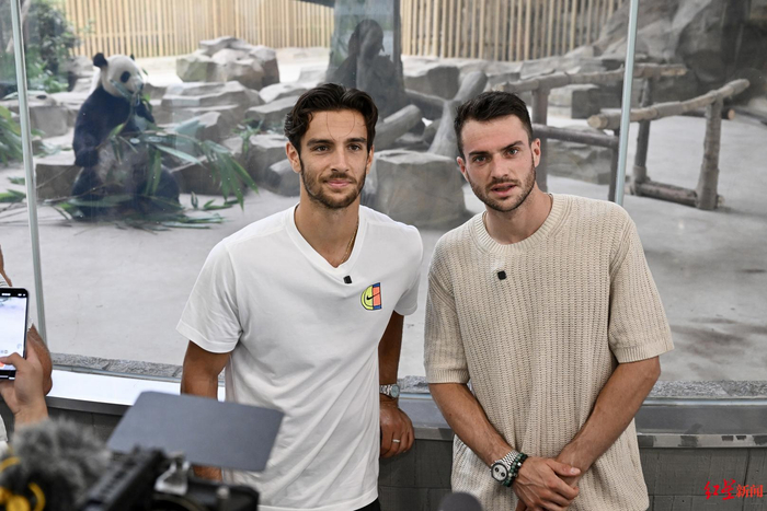 奏下的适应 奏下的适应