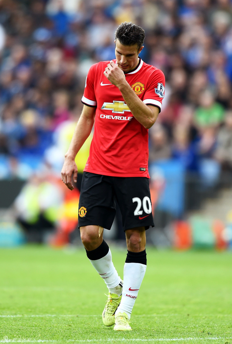 放到联赛语 放到联赛语